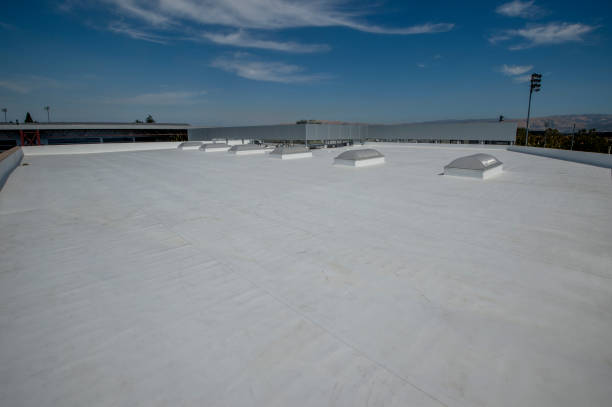Best Gutter Installation and Repair  in Kenedy, TX