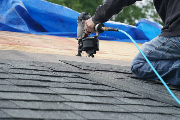 Best Chimney Flashing Repair  in Kenedy, TX